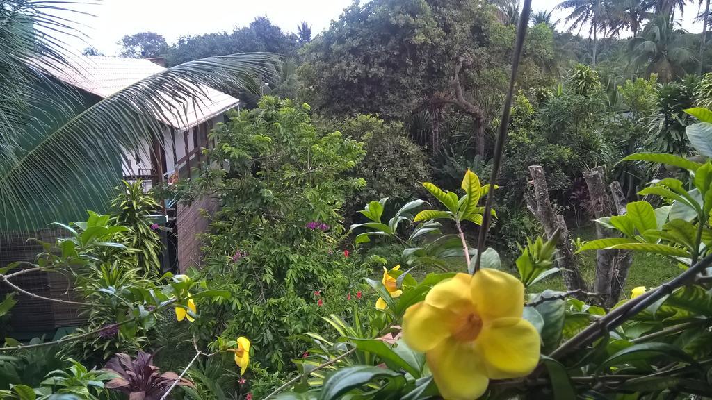 Recanto Solar Da Paz Velha Boipeba Eksteriør bilde
