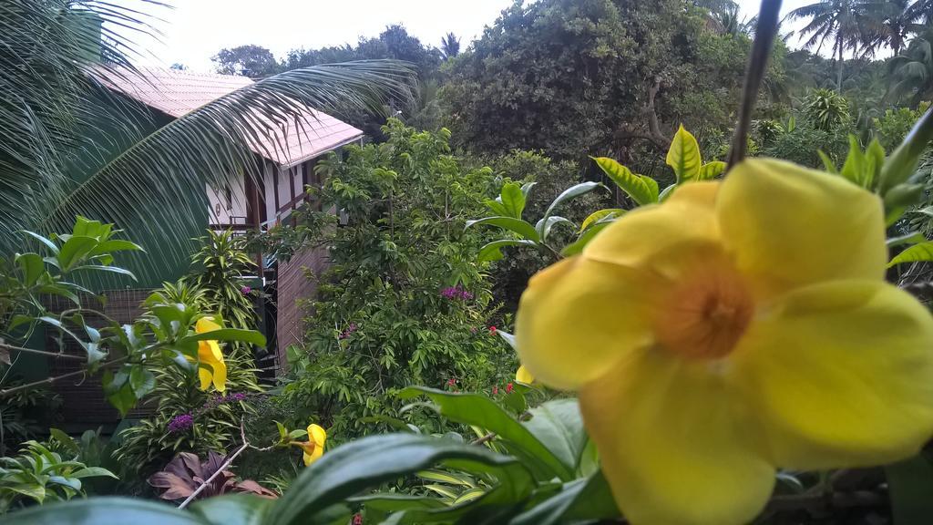 Recanto Solar Da Paz Velha Boipeba Eksteriør bilde