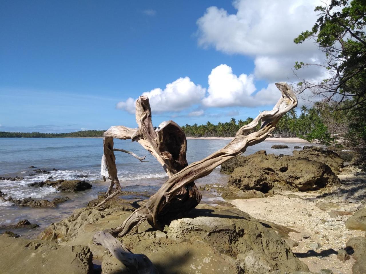 Recanto Solar Da Paz Velha Boipeba Eksteriør bilde